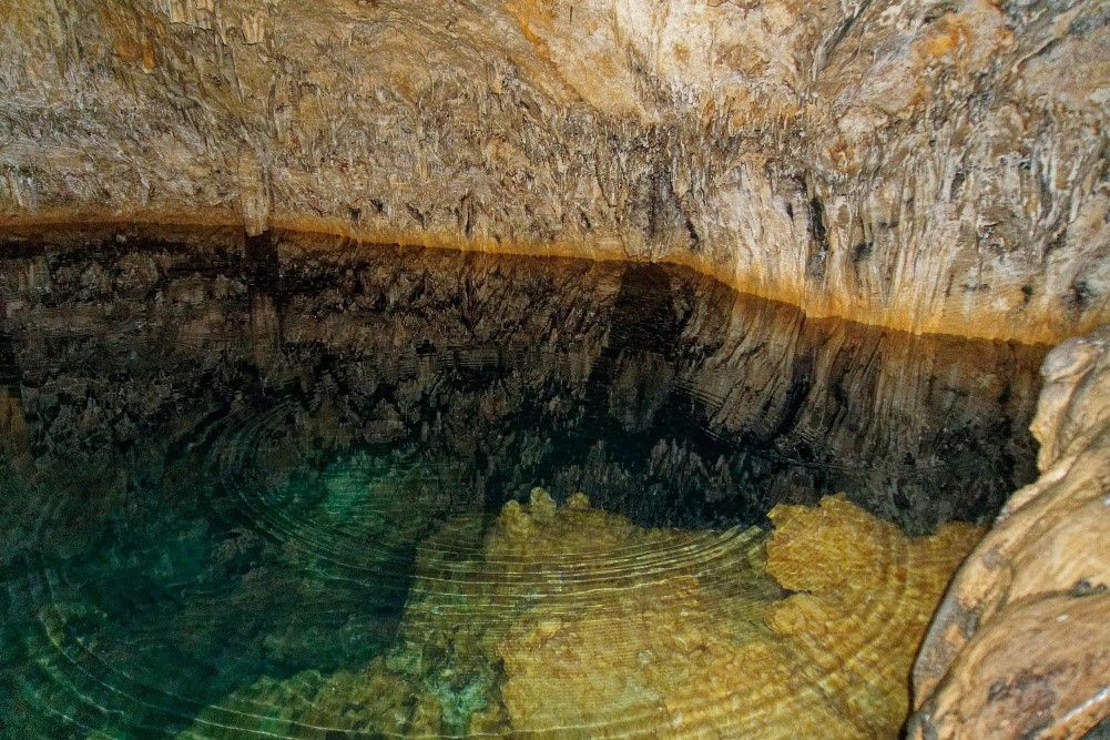 Explore the Anahulu Cave on Tonga