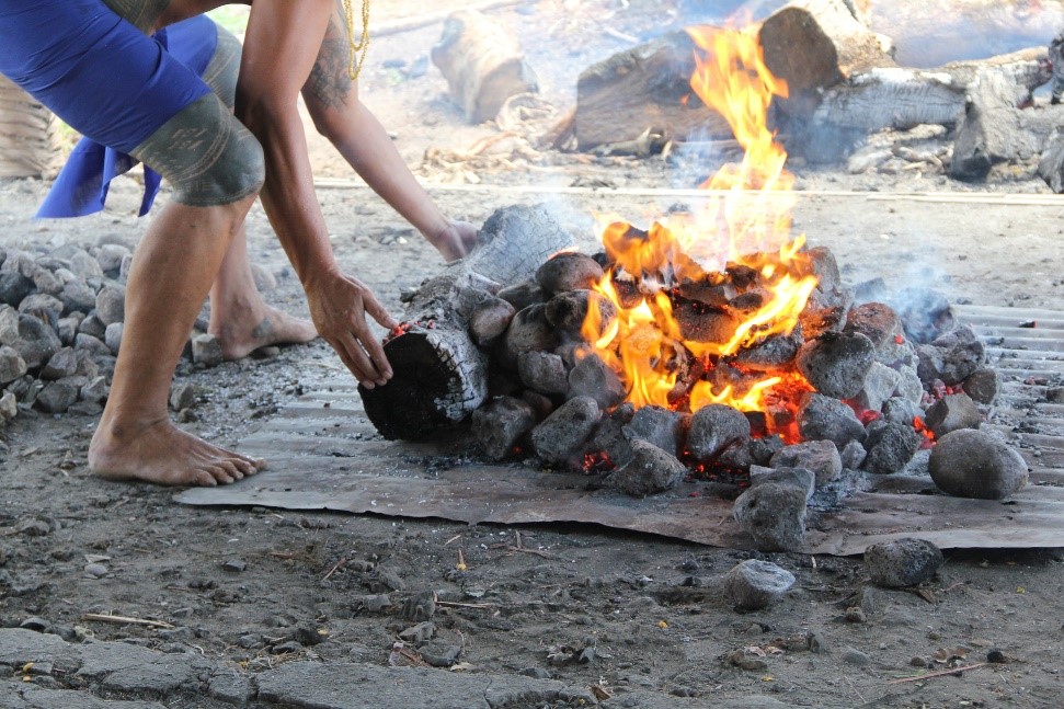 Taste Tongan Food